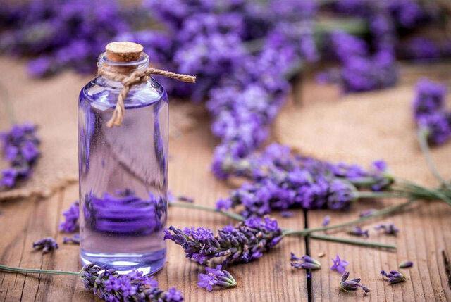 بفرمایید یک نوشیدنی آرامش بخش بفرمایید یک نوشیدنی آرامش بخش