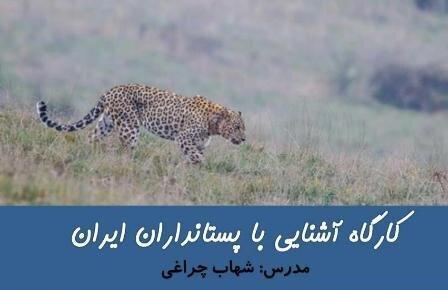 کارگاه آشنایی با پستانداران ایران