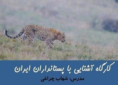کارگاه آشنایی با پستانداران ایران