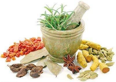 امسال 2800 تن انواع گیاهان دارویی در آذربایجان غربی برداشت سال جاری 2800 تن انواع گیاهان دارویی در آذربایجان غربی برداشت شد