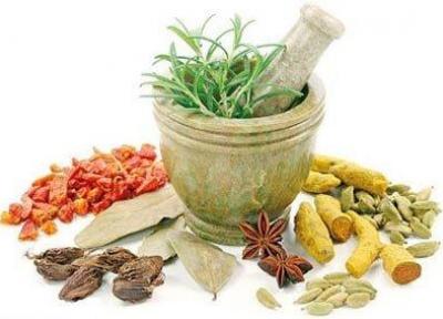 سال جاری 2800 تن انواع گیاهان دارویی در آذربایجان غربی برداشت شد