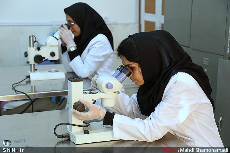 پژوهشگاه رویان و 2 بیمارستان تهران برای درمان کرونا پروژه مشترک شروع کردند