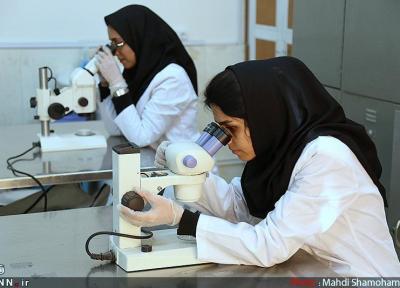پژوهشگاه رویان و 2 بیمارستان تهران برای درمان کرونا پروژه مشترک شروع کردند