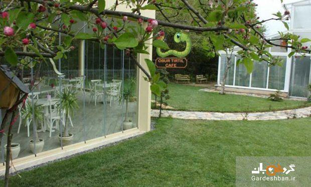 مزرعه پروانه؛ از مکان های دیدنی استانبول، عکس