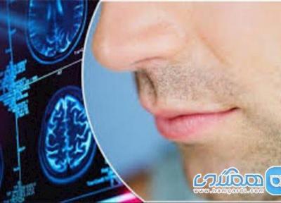 حس بویایی در بیماران کرونایی چندمین روز از بین می رود؟