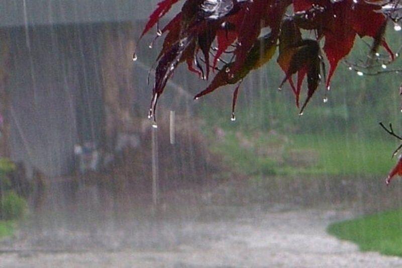 خبرنگاران بارش باران در دهدز خبرنگاران بارش باران در دهدز