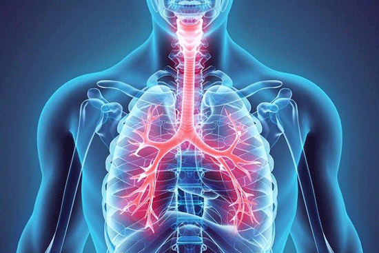 6 راهکار ساده برای تقویت ریه ها و دستگاه تنفسی