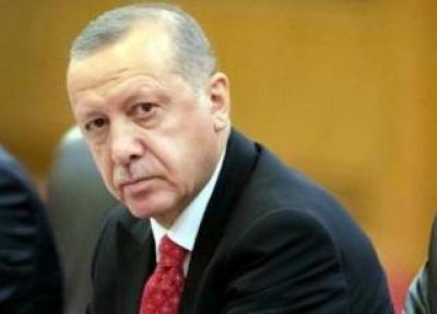اردوغان: امیدواریم سوریه هر چه سریع تر به ثبات برسد