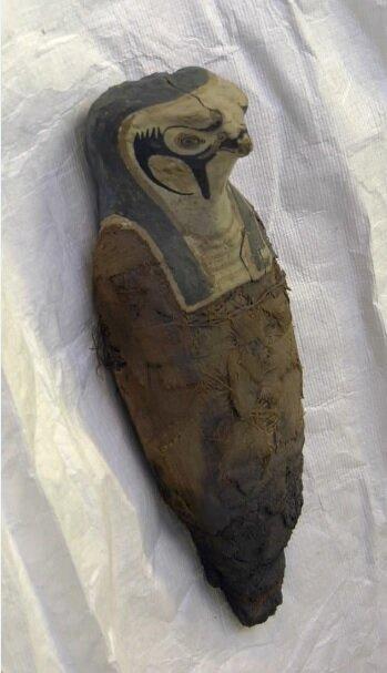 کشف یک مجسمه مومیایی شده مصری