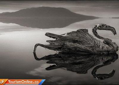 دریاچه ترسناک که همه چیز را به سنگ تبدیل می کند!، تصاویر