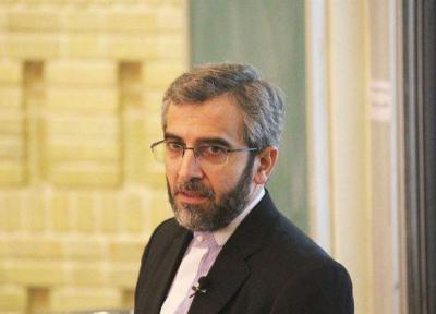 باقری: حقوق بشر اسلامی تنها ضامن واقعی حفظ حقوق انسان است