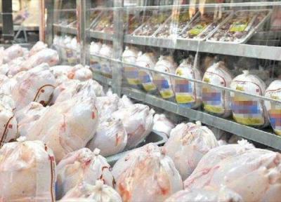 مدیرعامل اتحادیه مرغداران گوشتی استان مرکزی خواستار رفع مشکل تامین نهاده شد