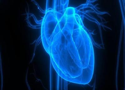آنالیز رویکردی جدید برای ترمیم ساختار و عملکرد قلب آسیب دیده
