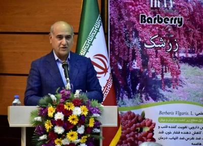 محدودیتی برای پرداخت تسهیلات گلخانه ها نداریم