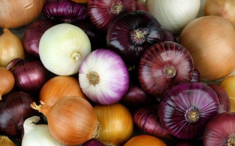 پیاز به زودی ارزان می شود پیاز به زودی ارزان می گردد