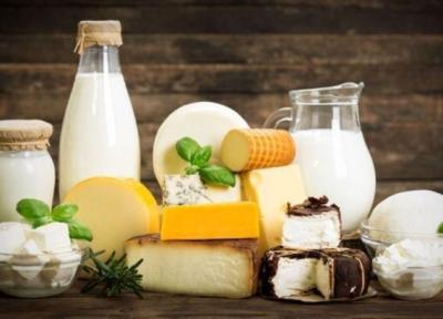 فراوری پری بیوتیک ها برای بهره وری بیشتر محصولات غذایی
