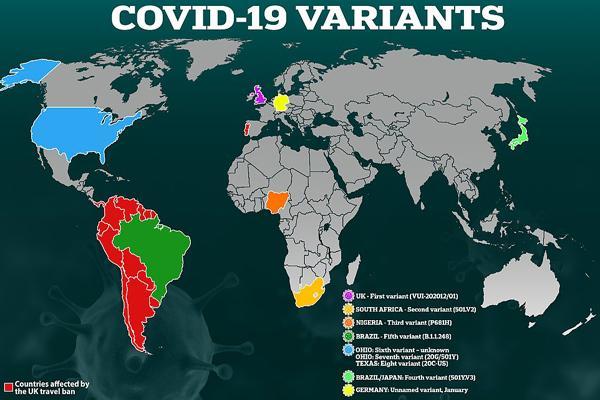 نقشه پراکندگی گونه های مختلف ویروس کرونا در دنیا (عکس)