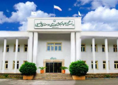 گونه جدید قارچ اندوفیت برای استفاده از گیاهان دارویی در دانشگاه علوم کشاورزی گرگان معرفی گردید