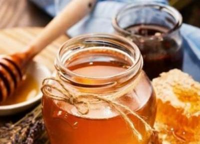 افزایش صادرات عسل ایران به جمهوری آذربایجان