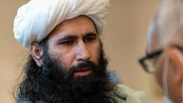 طالبان خواستار انحصار قدرت نیست