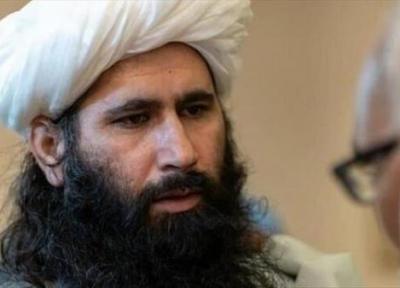 طالبان خواستار انحصار قدرت نیست