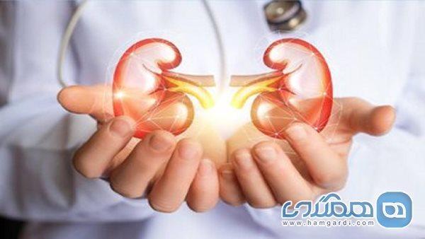 ابتلا به نارسایی کلیه با مصرف بیش از حد مسکن ها ابتلا به نارسایی کلیه با مصرف بیش از حد مسکن ها