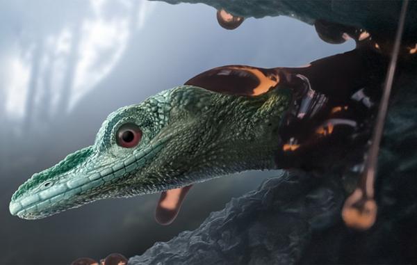 موجودی باستانی که تصور می شد دایناسوری کوچک باشد در واقع مارمولک است