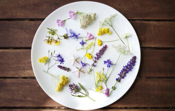 12 گل خوراکی برتر و خواص بی نظیر هر کدام برای سلامتی