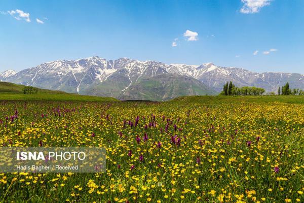 ایران زیباست؛ منطقه پیچه بن الموت، تصاویر ایران زیباست؛ منطقه پیچه بن الموت، تصاویر