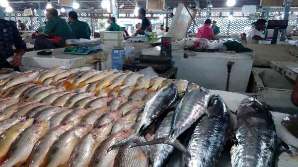 قیمت انواع ماهی در میادین تره بار اعلام شد